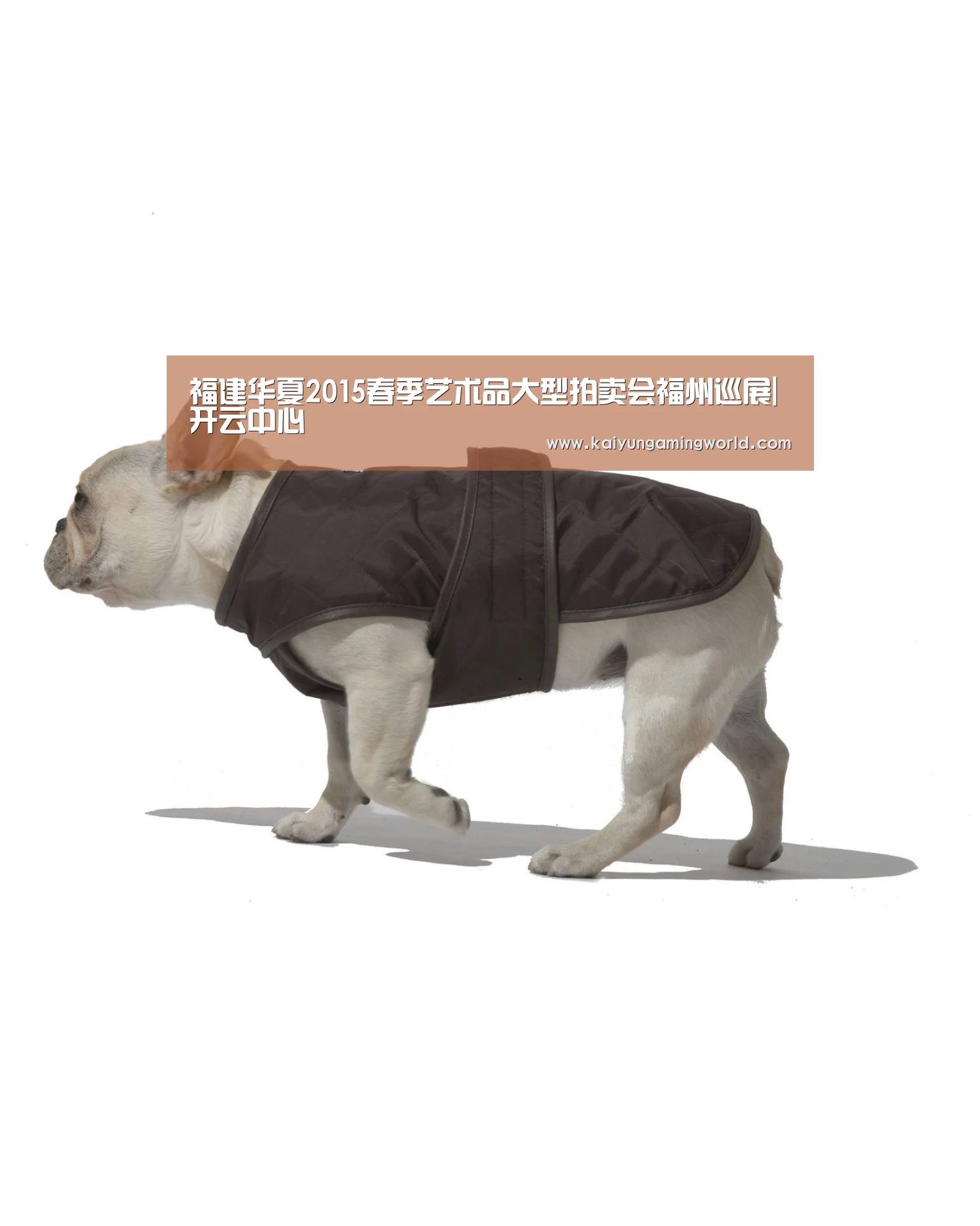 开云电竞