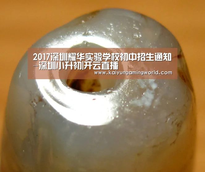 2017深圳耀华实验学校初中招生通知-深圳小升初|开云直播(图3) 开云中心