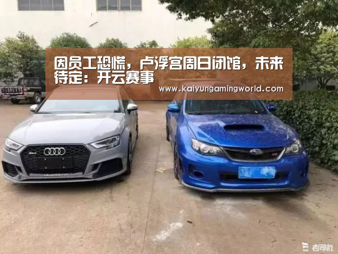开云电竞
