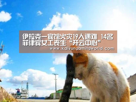 伊拉克一宾馆火灾19人遇难 14名菲律宾女工丧生“开云中心”(图4) 开云赛事