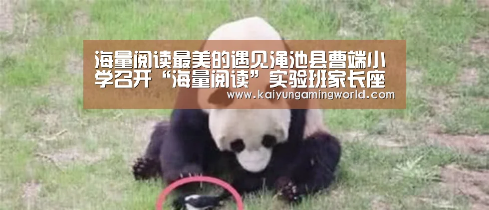 开云直播
