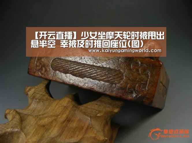 【开云直播】少女坐摩天轮时被甩出悬半空 幸被及时推回座位(图)(图2) 开云中心