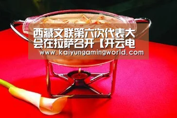 西藏文联第六次代表大会在拉萨召开【开云电竞】(图2) 开云电竞