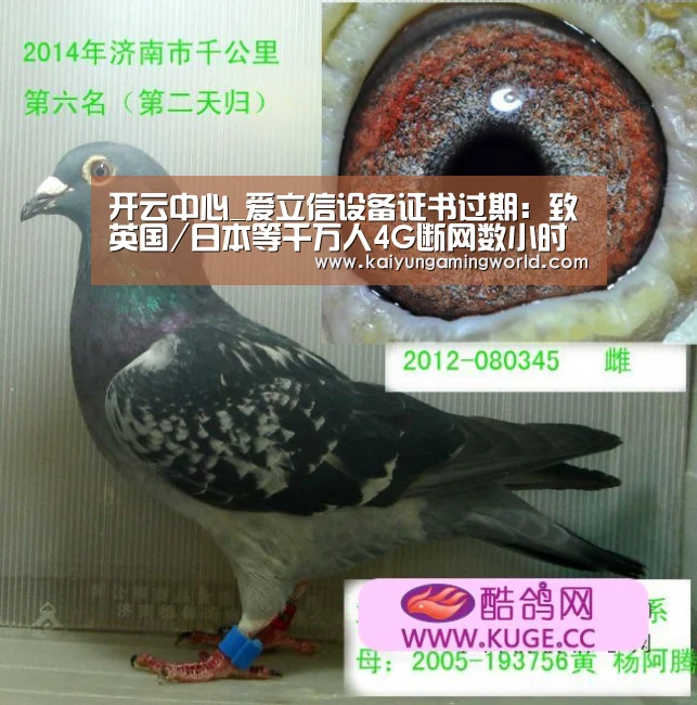 开云中心_爱立信设备证书过期:致英国/日本等千万人4G断网数小时(图2) 开云赛事